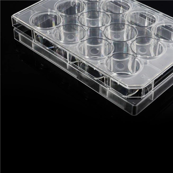 Transparent Ps Flat Bottom 12 Well Cell Culture Plate Disposable