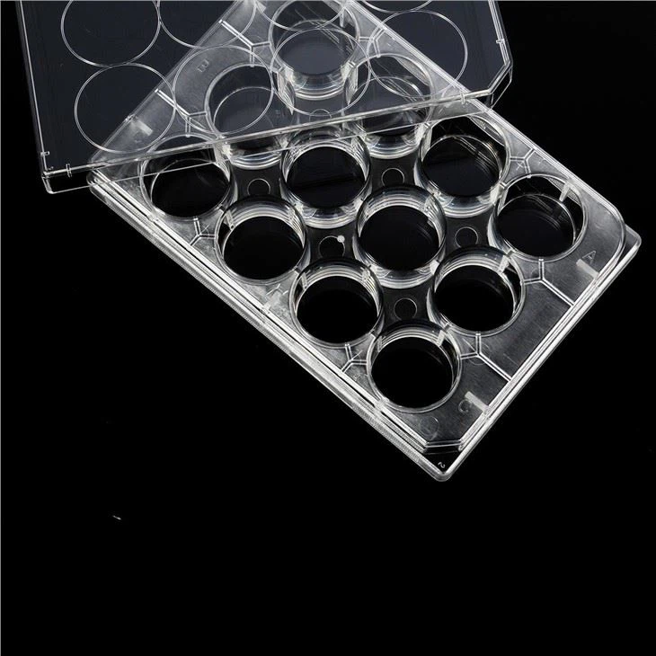 Transparent Ps Flat Bottom 12 Well Cell Culture Plate Disposable