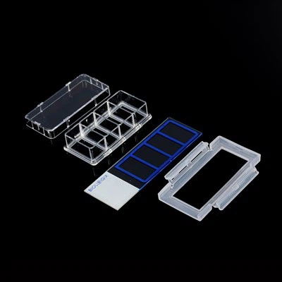 2 šulinėliai 4 šuliniai 8 šuliniai Ląstelių kultūros skaidrės